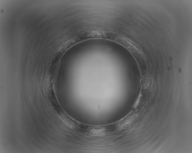 X0000051250560200506241549