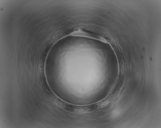 X0000051250561200506241549