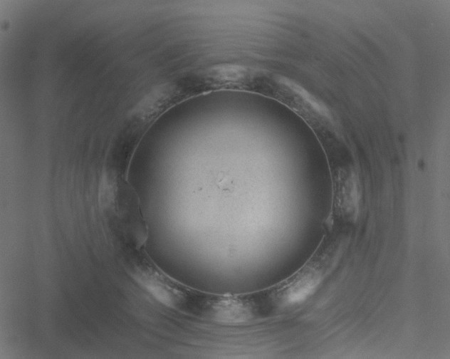 X0000051250562200506241549