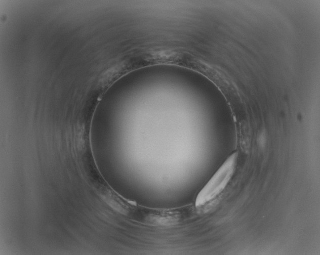 X0000051250563200506241549