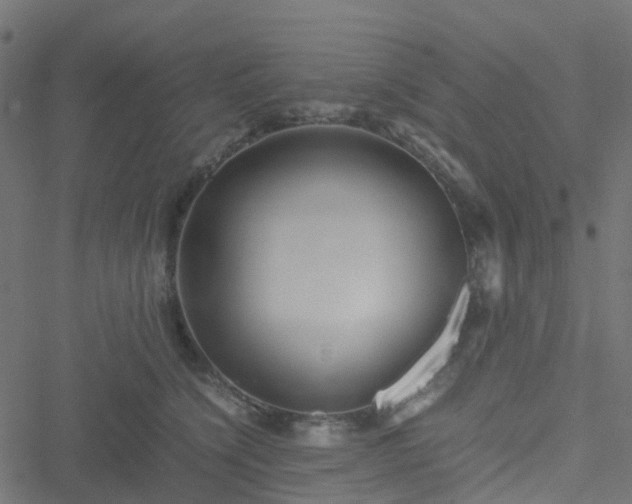 X0000051250564200506241549