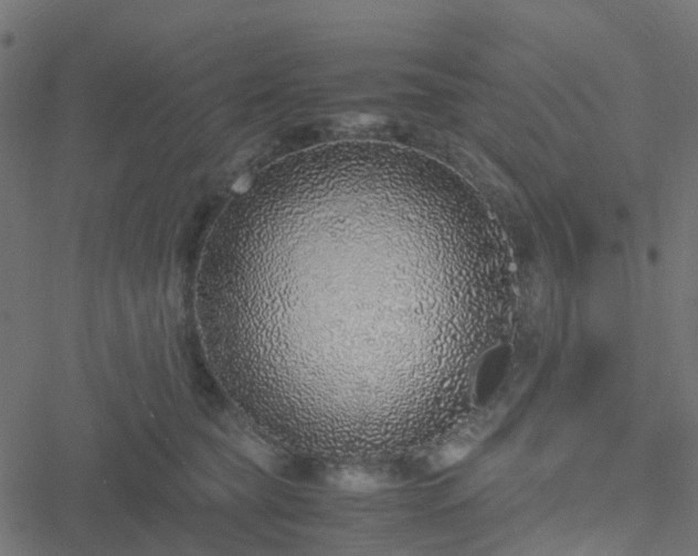 X0000051250565200506241549