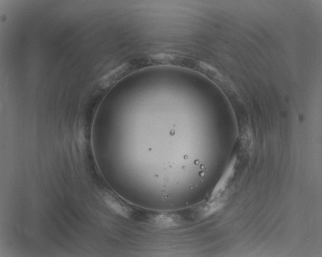 X0000051250566200506241549