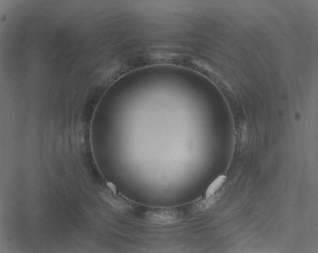 X0000051250567200506241549