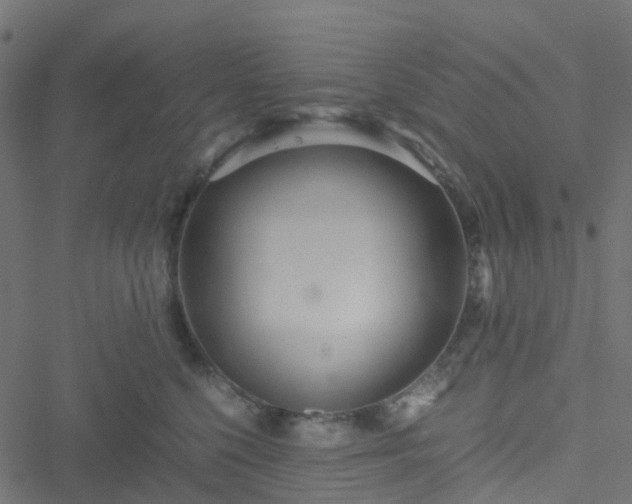 X0000051250568200506241549