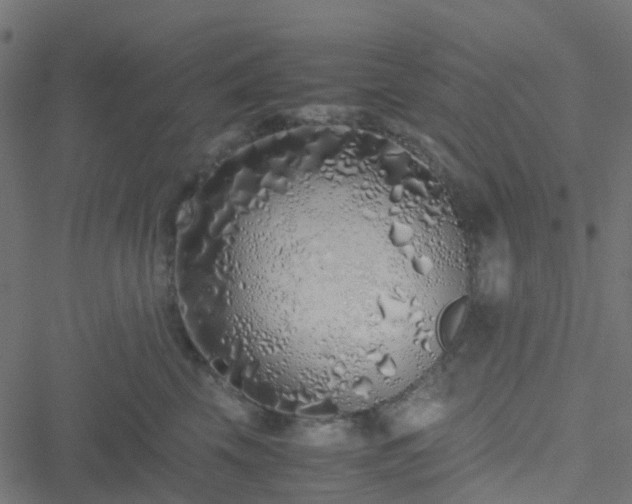 X0000051250569200506241549