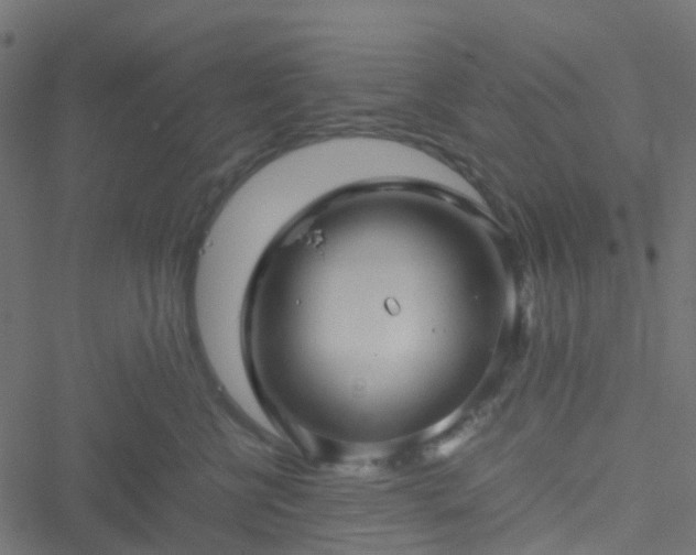 X0000051250570200506241549