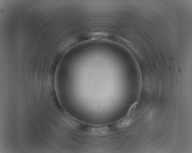 X0000051250571200506241549