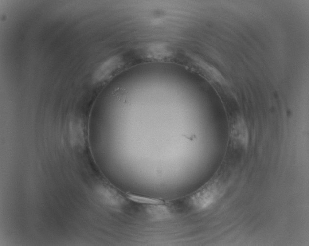 X0000051250572200506241549