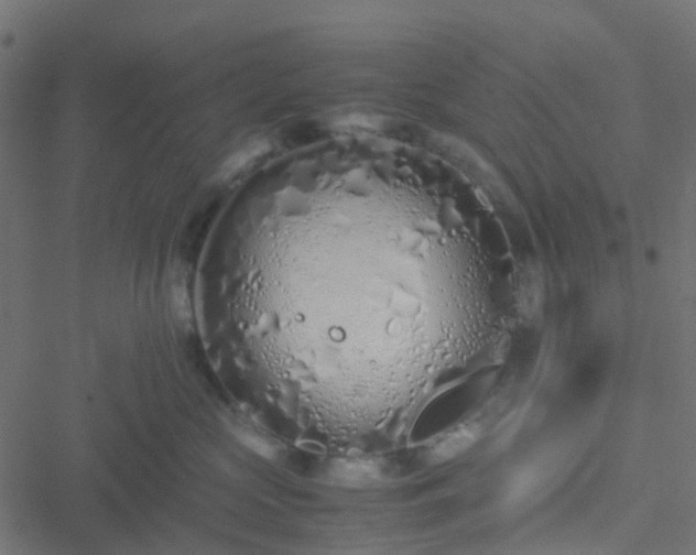 X0000051250573200506241549