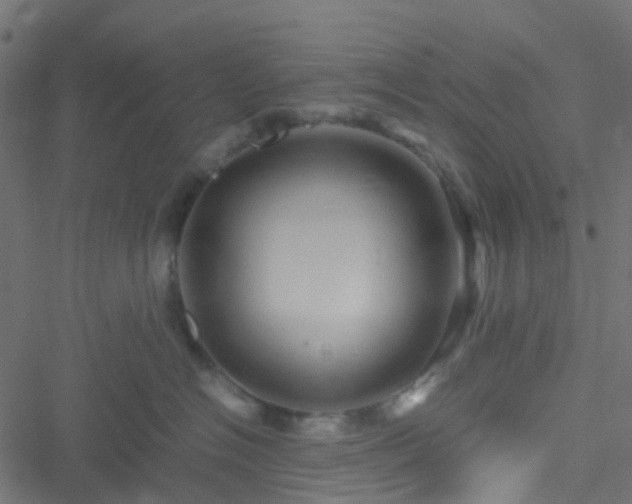 X0000051250574200506241549