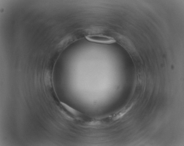 X0000051250575200506241549