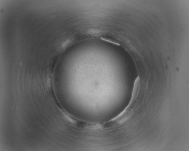 X0000051250576200506241550