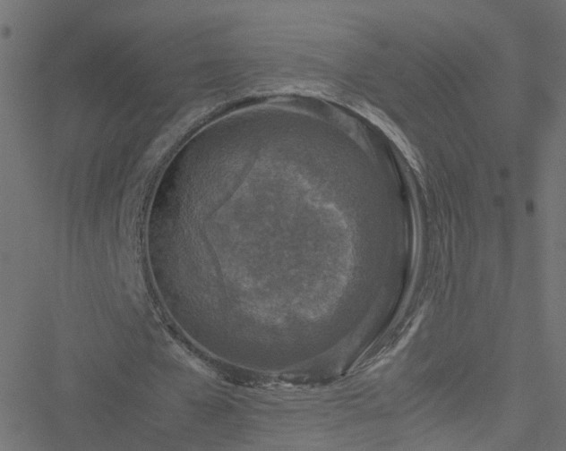 X0000051250577200506241549