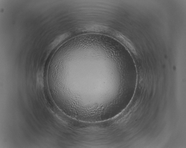 X0000051250578200506241549