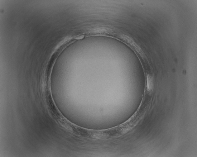 X0000051250579200506241549