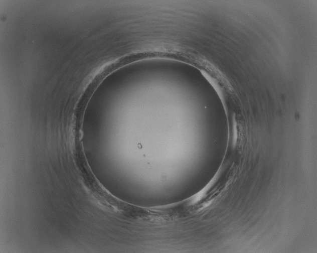 X0000051250580200506241549