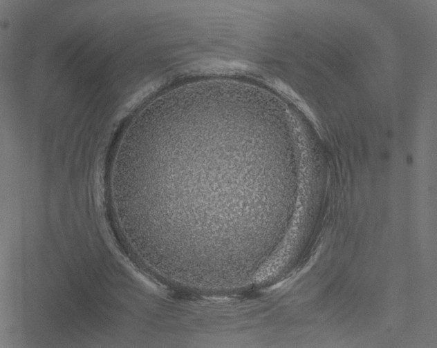 X0000051250581200506241549