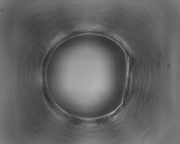 X0000051250582200506241549