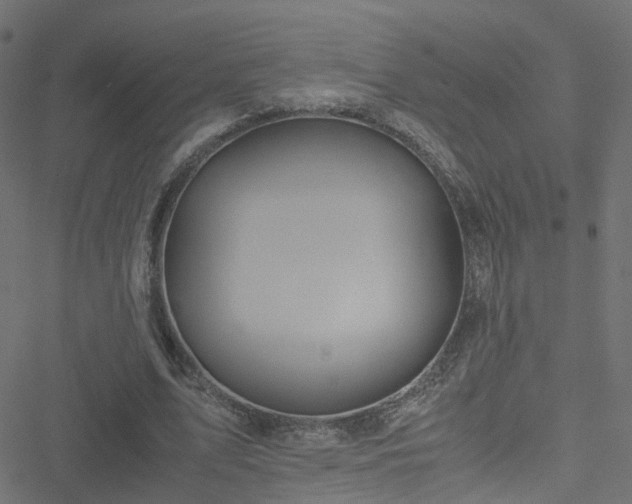 X0000051250583200506241549