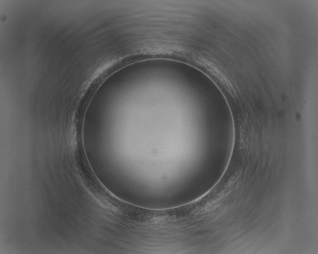 X0000051250584200506241549