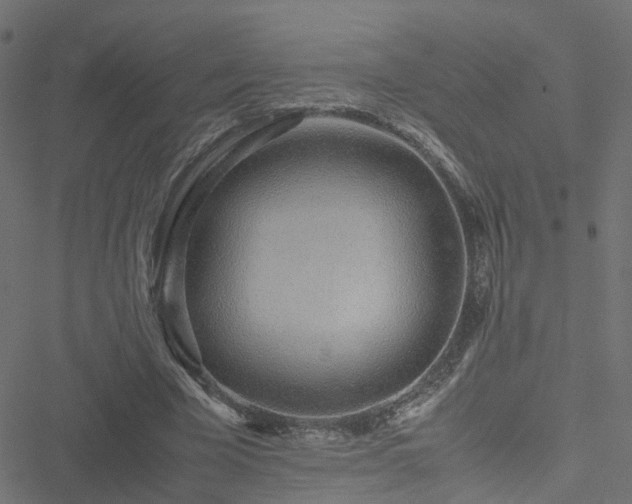 X0000051250585200506241549