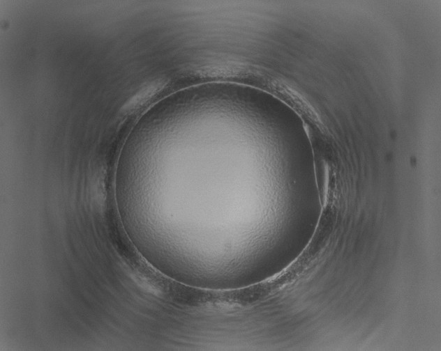 X0000051250586200506241549