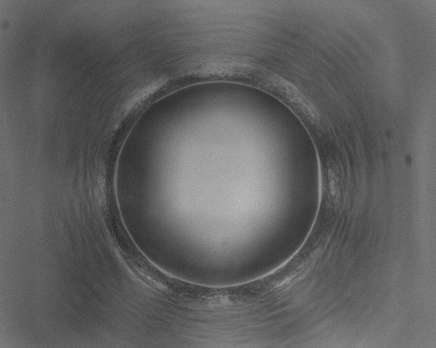 X0000051250588200506241549