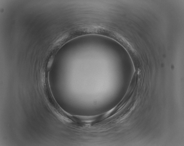 X0000051250589200506241549