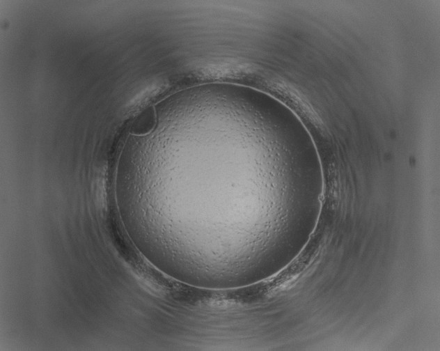 X0000051250590200506241549