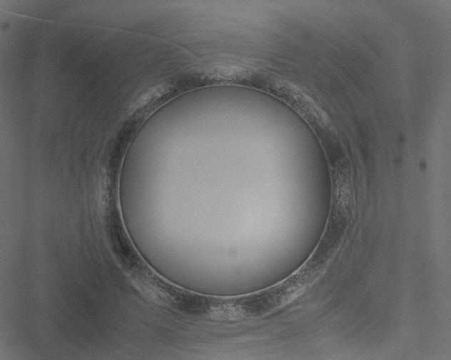 X0000051250591200506241548