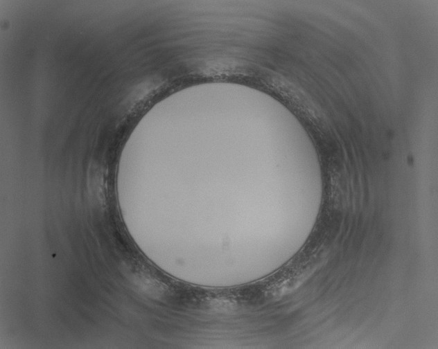 X0000051250592200506241548