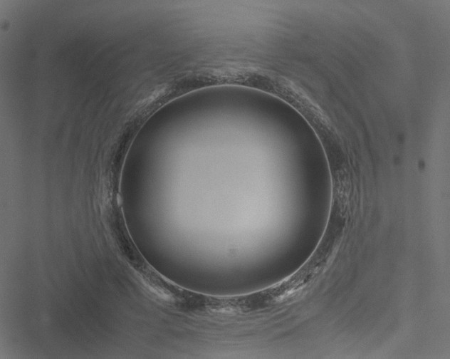 X0000051250593200506241548