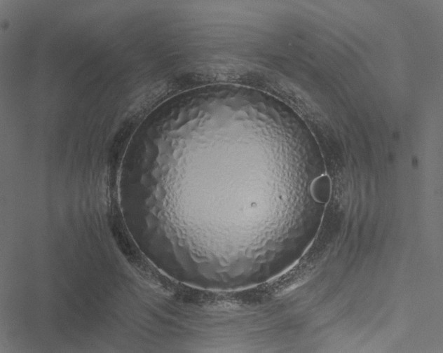 X0000051250594200506241548