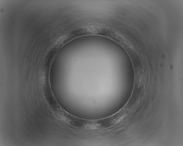 X0000051250595200506241548