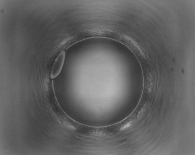 X0000051250596200506241548