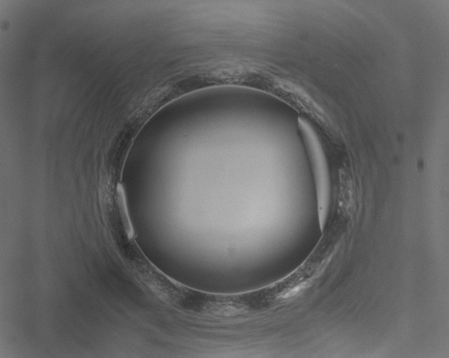 X0000051250597200506241548