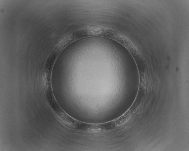 X0000051250598200506241548