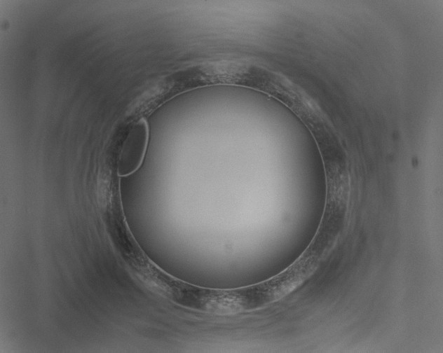 X0000051250599200506241548