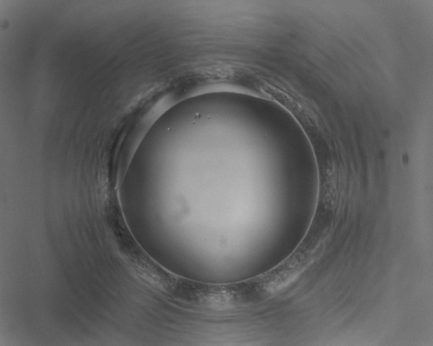 X0000051250600200506241548