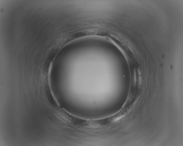 X0000051250601200506241548