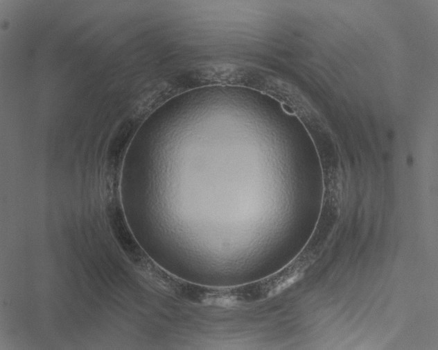 X0000051250602200506241548