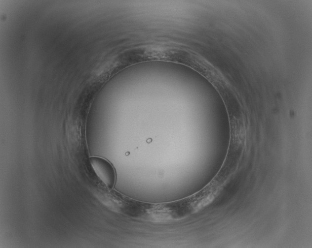 X0000051250603200506241548