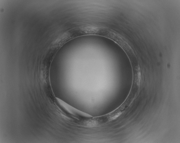 X0000051250604200506241548