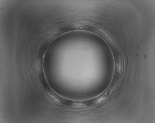 X0000051250605200506241548