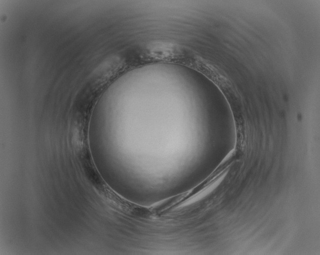 X0000051250606200506241548