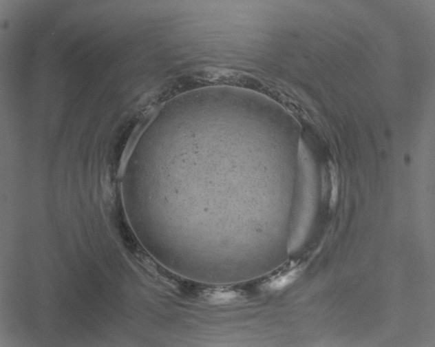 X0000051250607200506241548