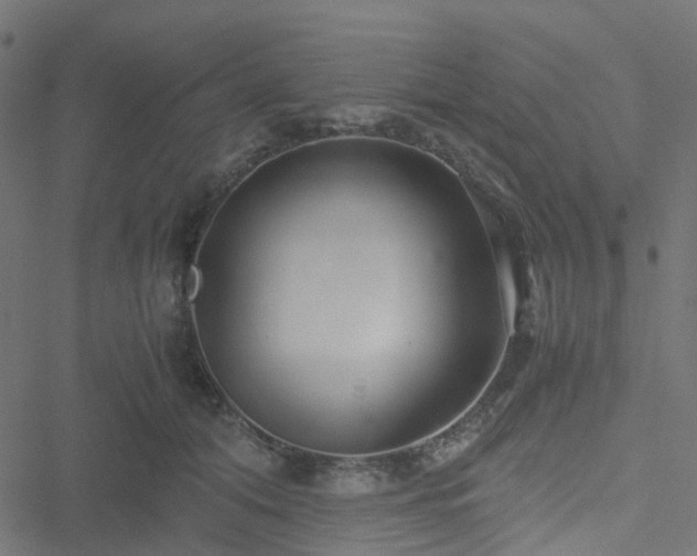 X0000051250608200506241548