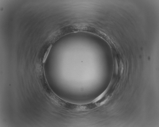 X0000051250609200506241548