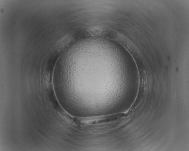 X0000051250610200506241548